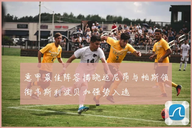 意甲最佳阵容揭晓迈尼昂与帕斯领衔韦斯利波贝加强势入选